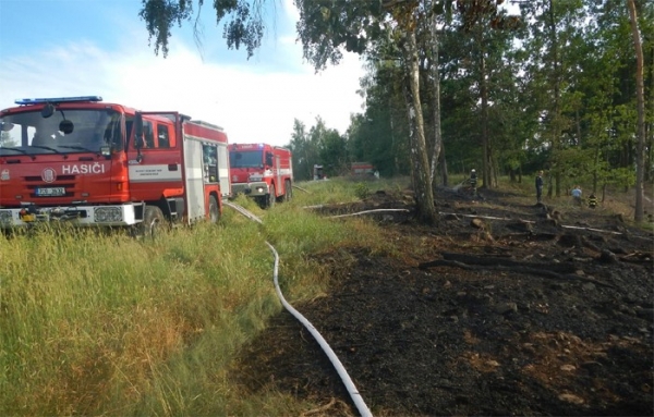 Požár lesa u Kamenného Malíkova