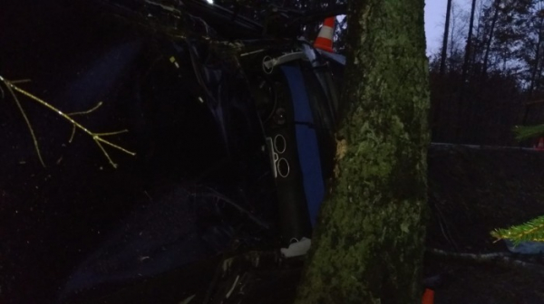 Na Jindřichohradecku řidič s autem narazil do stromu, nehodu nepřežil