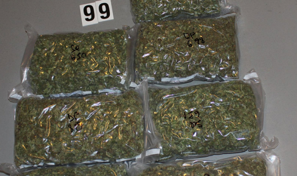 Dealer z Táborska distribuoval marihuanu, nyní ho čeká soud