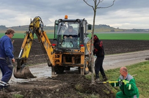 Nadace ČEZ vrátila do české krajiny už přes 100 000 stromů