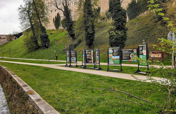 Výstava s názvem Bez půdy to nepůjde je k vidění v českokrumlovské Jelení zahradě