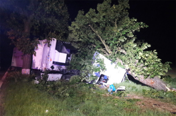 Na Jindřichohradecku narazil nákladní automobil do stromu