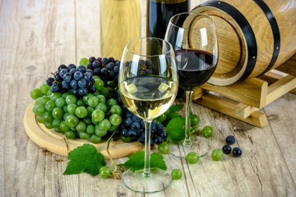 Oslavy 20. výročí Jihočeské hospodářské komory odstartuje Košt vín v Třeboni