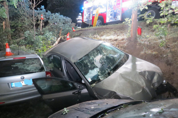 Řidič Octávky narazil do stromu, v nemocnici zraněním podlehl