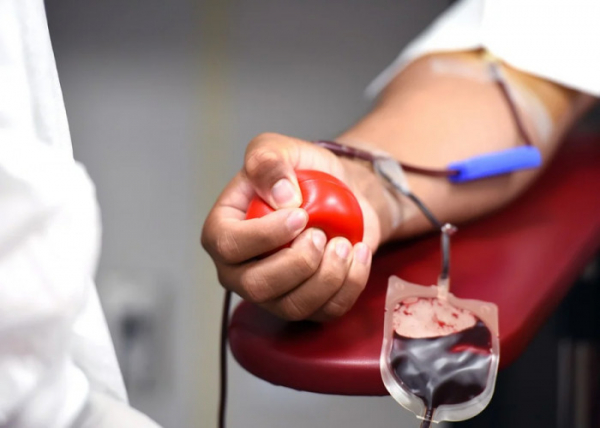 Písecká nemocnice hledá nové dárce krve mezi středoškoláky