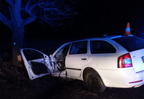 U obce Peč na Jindřichohradecku vyjel řidič osobního vozu ze silnice a narazil do stromu