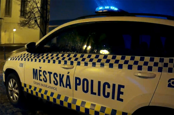 Policie ČR: Kriminalita u mladistvých v Táboře nestoupá
